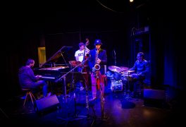 Ostrich quartet – fotoreportáž